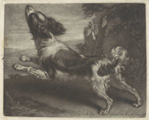 Perro corriendo, posiblemente un spaniel de Jan Verkolje (I)
