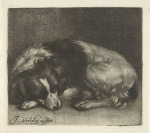 Perro durmiente, posiblemente un spaniel de Jan Verkolje (I)