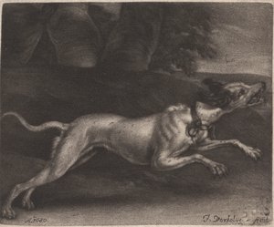 Un perro corredor de Jan Verkolje