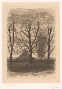 Granja entre altos árboles, Ewijkshoeve