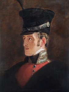 Retrato del Mariscal de Campo Sir John Colborne, soldado británico de Jan Willem Pieneman