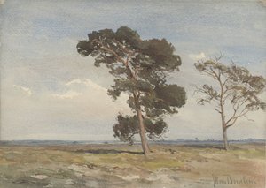 Vista del páramo con dos árboles