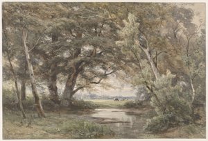 Agua bajo los árboles al final de un bosque de Jan Willem van Borselen