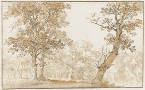 Bosque de La Haya de Jan de Bisschop