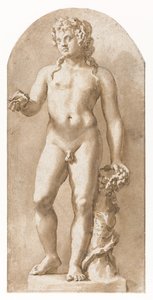 El joven Baco de pie de Jan de Bisschop