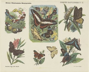 Insectos (mariposas) (título sobre el objeto) Nuevos grabados infantiles holandeses (título de la serie en el objeto) de Jan de Haan