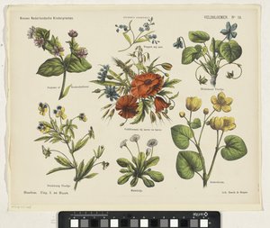 Flores de campo (título en el objeto)
Nuevos grabados infantiles holandeses (título de la serie en el objeto)
Grabados de Funke (título de la serie en el objeto) de Jan de Haan