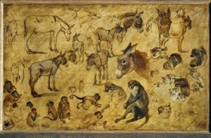 Estudios de animales de Jan the Elder Brueghel