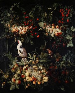 Guirnaldas de frutas con flores alrededor de un cartucho con una cacatúa de cresta de azufre de Jan van (attr. to) Kessel