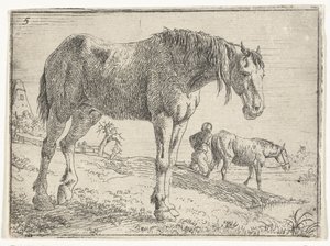 Caballo de pie
Paisajes con caballos (título de la serie) de Jan van Aken