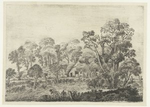 Paisaje con una granja junto a un estanque. Paisajes (título de la serie) de Jan van Brosterhuyzen