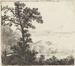 paisaje con arbol a la orilla de un rio de Jan van Brosterhuyzen
