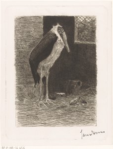 Maraboe