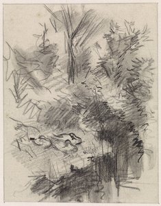 Patos, durmiendo entre los arbustos a la orilla del agua de Jan van Essen