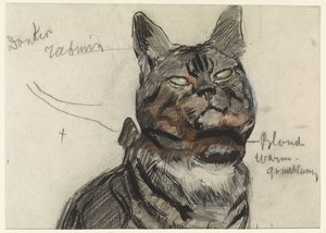 Gato, con notas de color