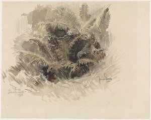 Helecho rey en un jardín de Scherpenzeel de Jan van Essen