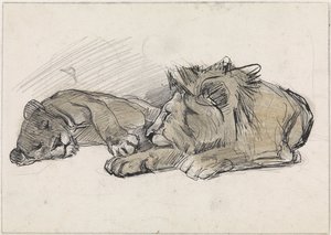 León y leona reclinados