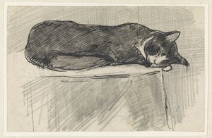 Gato dormido de Jan van Essen