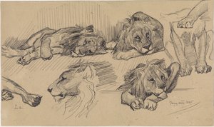Hoja de estudio con leones de Jan van Essen