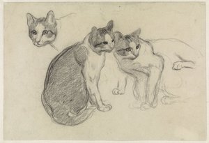 Hoja de estudio con gatos
