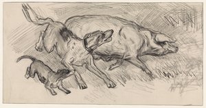 Dos perros persiguiendo a un cerdo de Jan van Essen