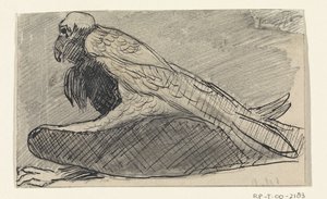 Buitre sentado de Jan van Essen