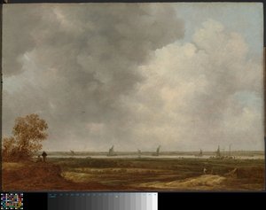 Vista panorámica de un río con praderas bajas de Jan van Goyen