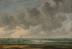Vista de Haarlem y el Haarlemmer Meer, 1646 de Jan van Goyen