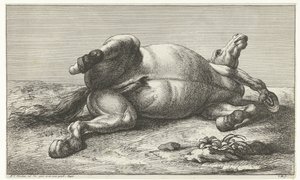 Caballo muerto acostado sobre su lado izquierdo Caballos muertos (título de la serie)