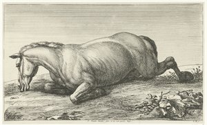 Caballo muerto acostado sobre su vientre Caballos muertos (título de la serie)