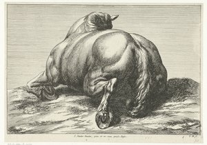 Caballo caído sobre el vientre visto desde atrás Caballos muertos (título de la serie)