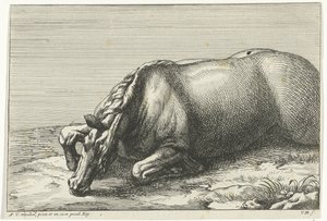 Caballo muerto visto en el lado izquierdo Caballos muertos (título de la serie)