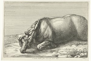 Caballo muerto visto en el lado izquierdo Caballos muertos (título de la serie)
