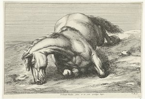 Caballo muerto acostado sobre el lado derecho Caballos muertos (título de la serie) de Jan van Huchtenburg
