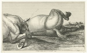 Dos caballos muertos tirados en fila Caballos muertos (título de la serie)