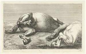 Dos caballos caídos, el derecho visto de lado Caballos muertos (título de la serie) de Jan van Huchtenburg