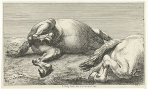 Dos caballos caídos, el derecho visto de lado Caballos muertos (título de la serie)