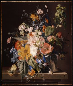 Amapolas, malva real, gloria de la mañana, viola, margaritas, guisante de olor, caléndulas y otras flores en un jarrón con un caracol en un borde