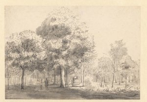 Vista del Haarlemmerhout, Haarlem de Jan van Kessel (attributed to)