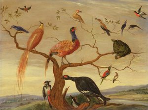 Un concierto de pájaros