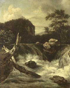 Una cascada de Jan van  Kessel