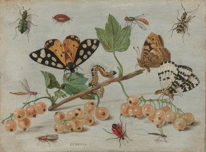 Insectos y frutas. Hacia 1660-65