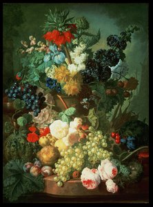 Imagen desconocida de Jan van Os