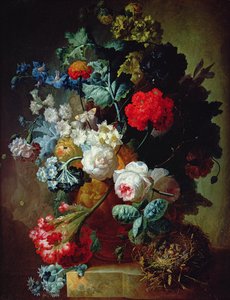 Imagen desconocida de Jan van Os