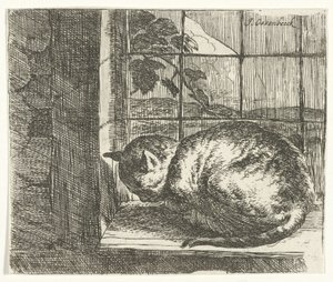 Gato en el marco de la ventana de Jan van Ossenbeeck