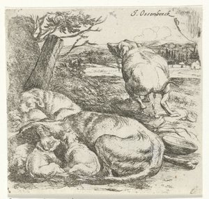 perra con cachorros de Jan van Ossenbeeck