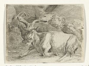 Dos cabras y dos ovejas de Jan van Ossenbeeck