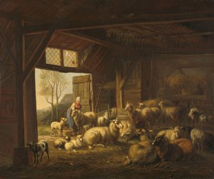 Ovejas y cabras en un establo