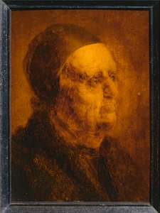 Cabeza de estudio de anciano ... de Jan van de Venne