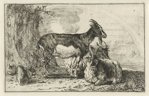 cabras Animales (título de la serie) Zoographiam (título de la serie) de Jan van den Hecke